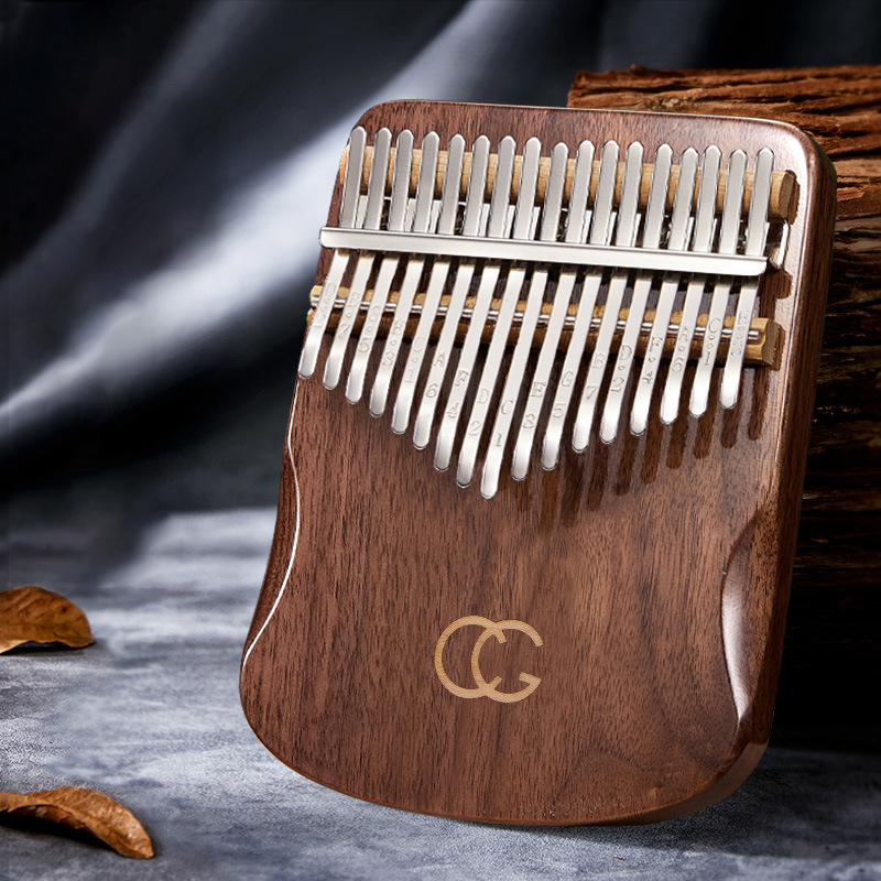 Пианино для начинающих, 17 дюй – обзор и цена Musical Instrument For Beginners