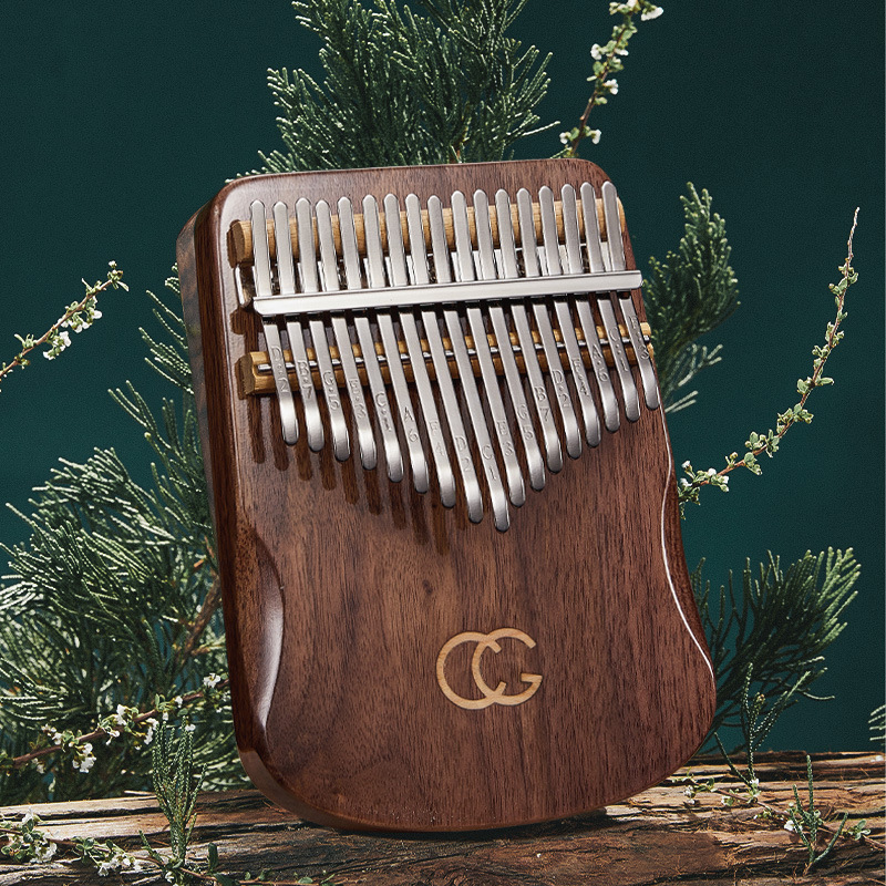 Пианино для начинающих, 17 дюй – обзор и цена Musical Instrument For Beginners